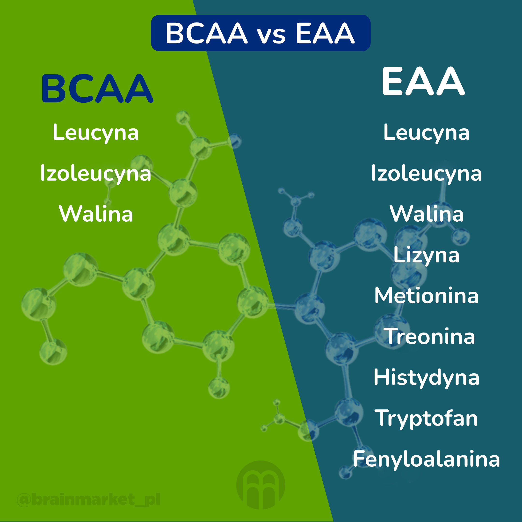 BCAA vs EAA_infografika_2_cz